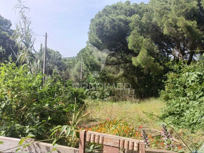 Quinta T2 para Venda em São Francisco da Serra Foto 19