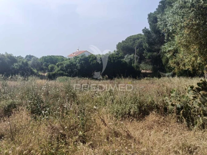 Quinta T2 para Venda em São Francisco da Serra Foto 10