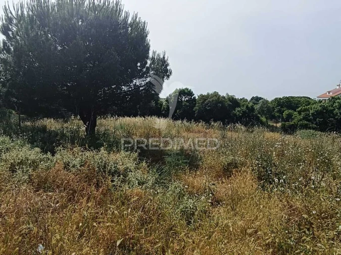 Quinta T2 para Venda em São Francisco da Serra Foto 14