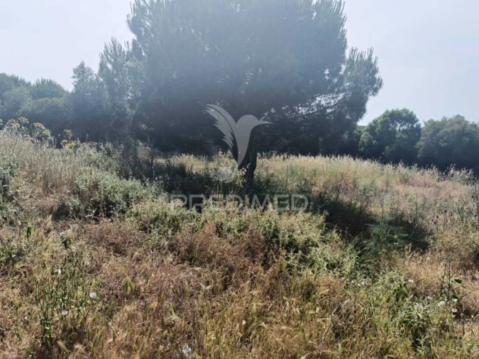 Quinta T2 para Venda em São Francisco da Serra Foto 12