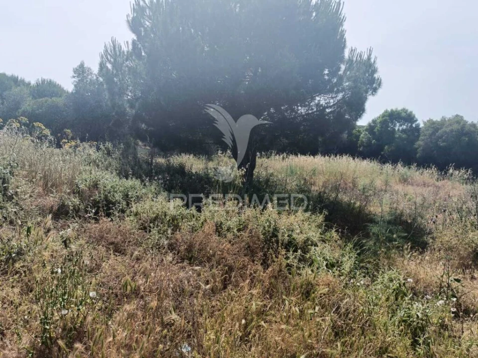 Quinta T2 para Venda em São Francisco da Serra Foto 12