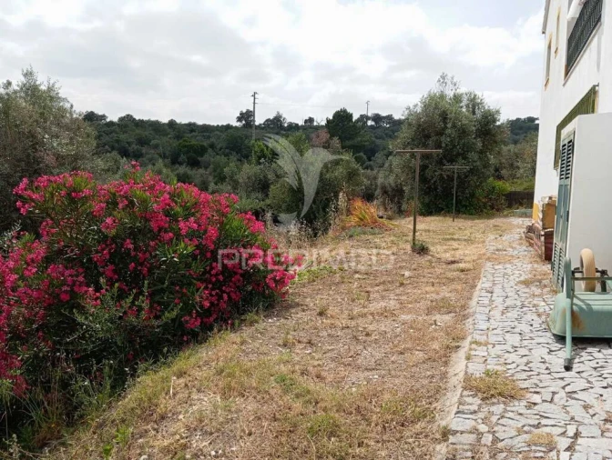 Quinta T4 para Venda em Ribeira de Nisa e Carreiras Foto 15