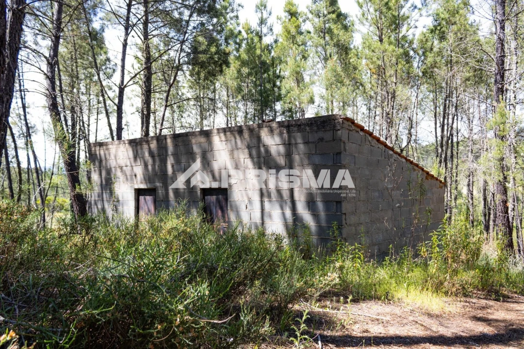 Terreno para Venda em Santo Andre das Tojeiras Foto 23