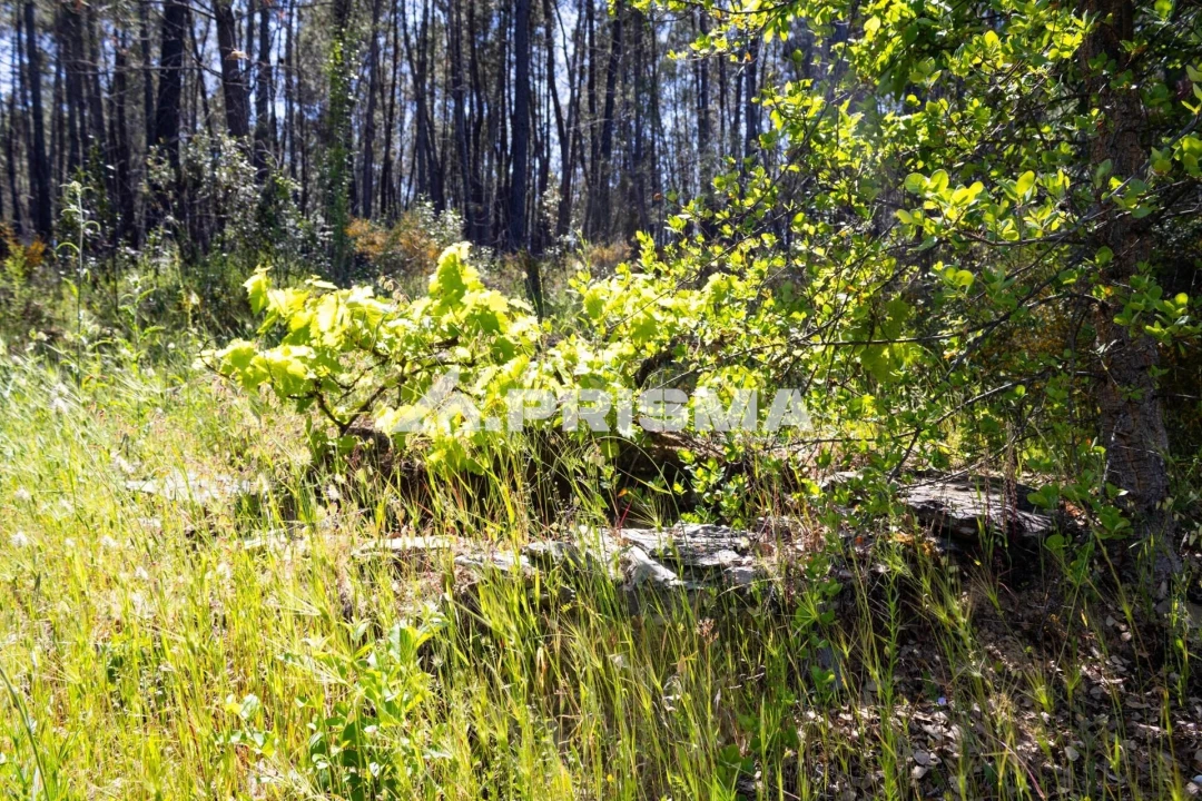 Terreno para Venda em Santo Andre das Tojeiras Foto 25