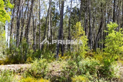 Terreno para Venda em Santo Andre das Tojeiras