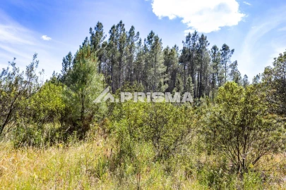 Terreno para Venda em Santo Andre das Tojeiras