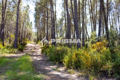 Terreno para Venda em Santo Andre das Tojeiras