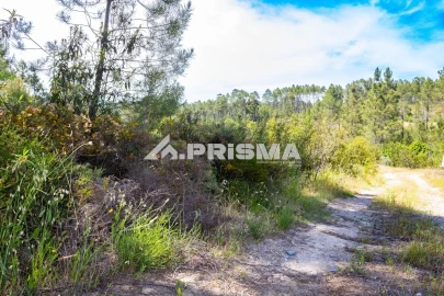 Terreno para Venda em Santo Andre das Tojeiras