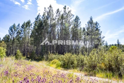 Terreno para Venda em Santo Andre das Tojeiras