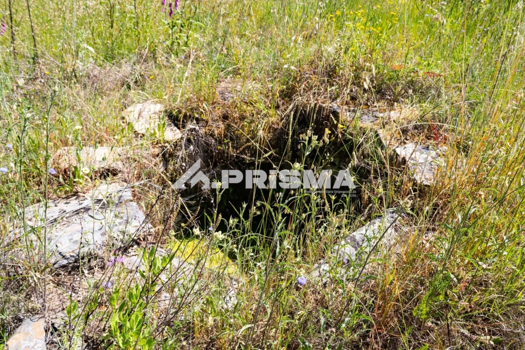 Terreno para Venda em Santo Andre das Tojeiras Foto 19