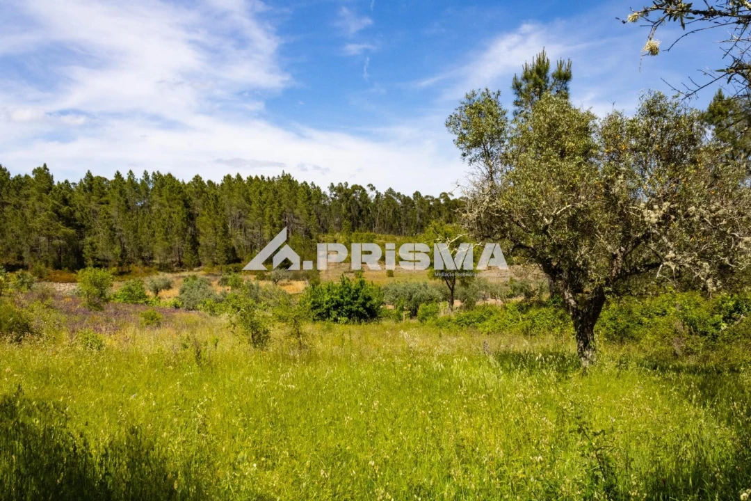 Terreno para Venda em Santo Andre das Tojeiras Foto 4