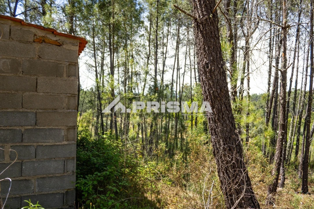 Terreno para Venda em Santo Andre das Tojeiras Foto 22