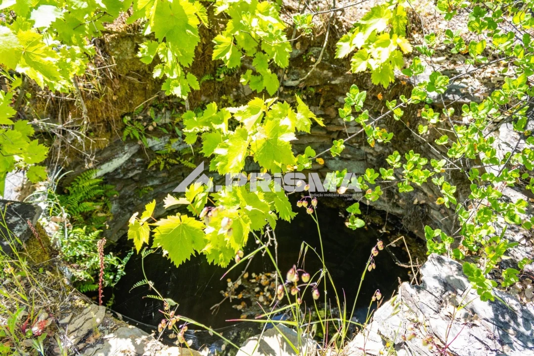 Terreno para Venda em Santo Andre das Tojeiras Foto 3