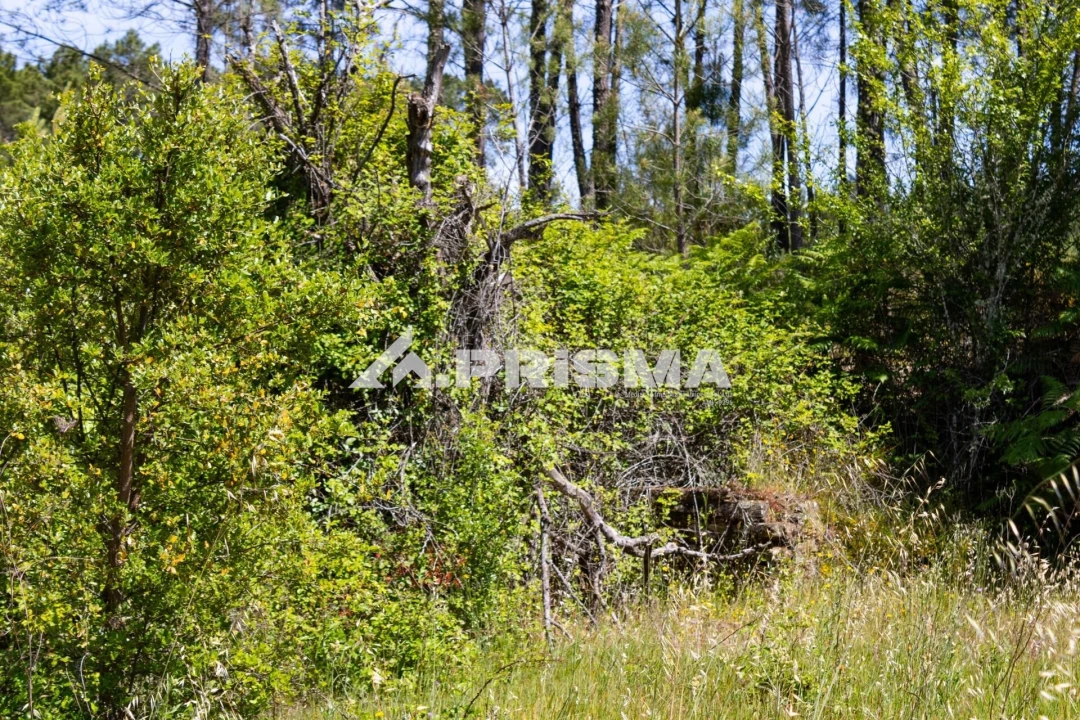 Terreno para Venda em Santo Andre das Tojeiras Foto 16