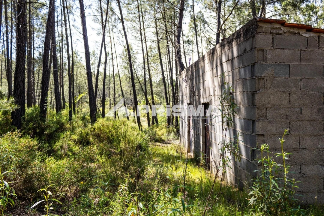 Terreno para Venda em Santo Andre das Tojeiras Foto 1