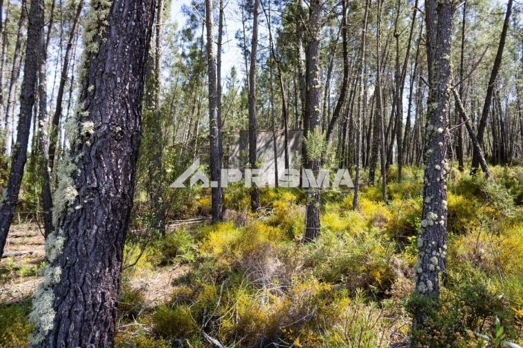 Terreno para Venda em Santo Andre das Tojeiras Foto 21