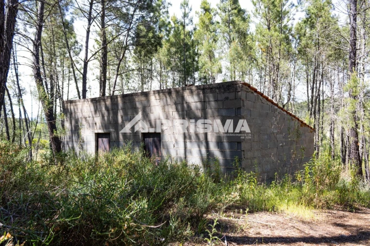 Terreno para Venda em Santo Andre das Tojeiras Foto 23