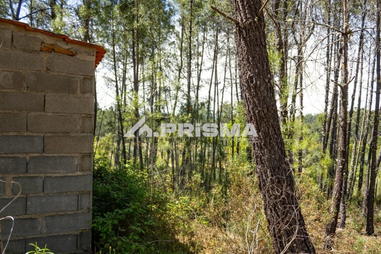 Terreno para Venda em Santo Andre das Tojeiras Foto 22