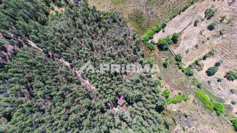 Terreno para Venda em Santo Andre das Tojeiras Foto 30