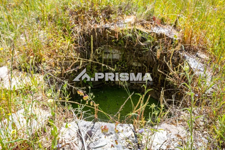 Terreno para Venda em Santo Andre das Tojeiras Foto 7