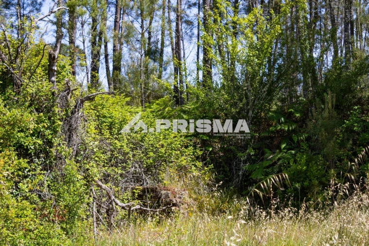 Terreno para Venda em Santo Andre das Tojeiras Foto 15