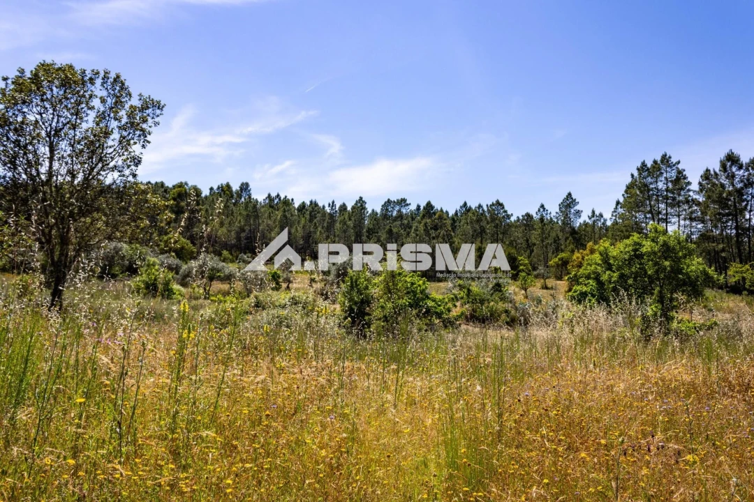 Terreno para Venda em Santo Andre das Tojeiras Foto 13