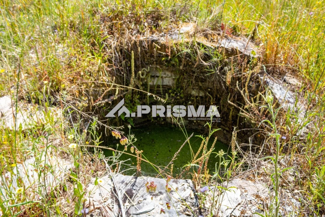 Terreno para Venda em Santo Andre das Tojeiras Foto 7