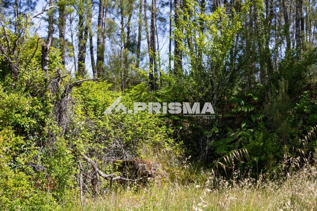 Terreno para Venda em Santo Andre das Tojeiras Foto 15