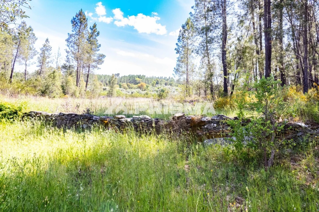 Terreno para Venda em Santo Andre das Tojeiras Foto 5