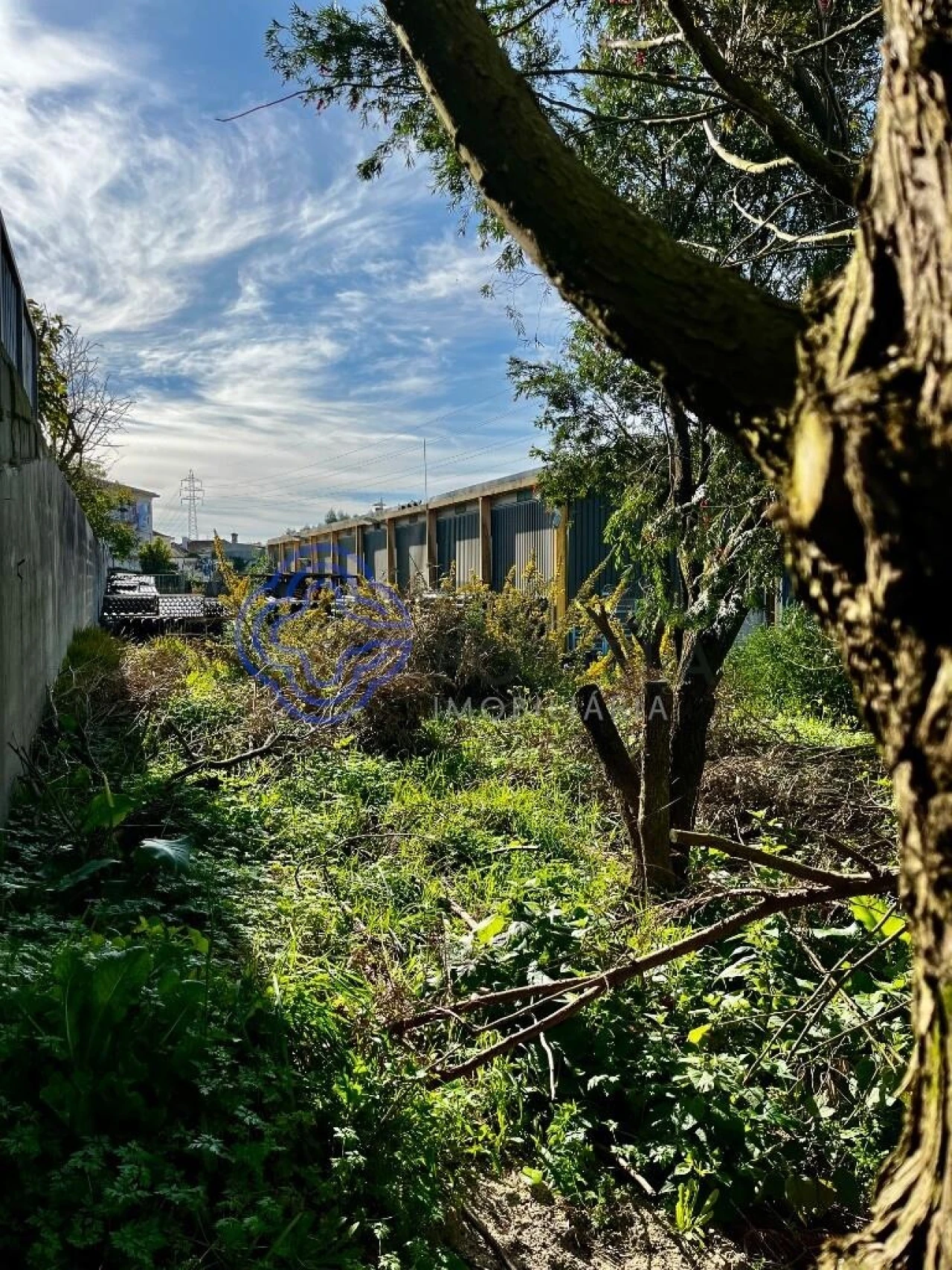 Armazém para Venda em Gião Foto 8