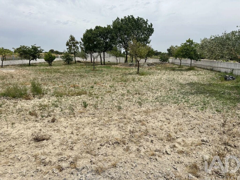 Moradia T4 para Venda em São Pedro de Rio Seco Foto 23