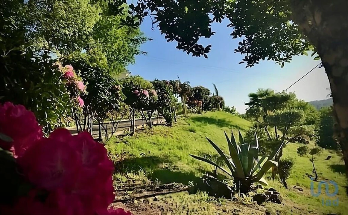 Moradia T4 para Venda em Ferreira de Aves Foto 5