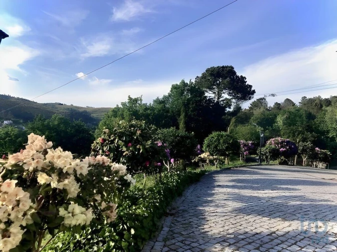 Moradia T4 para Venda em Ferreira de Aves Foto 9