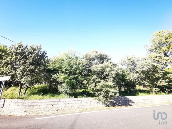 Terreno para Venda em Fatima Foto 2