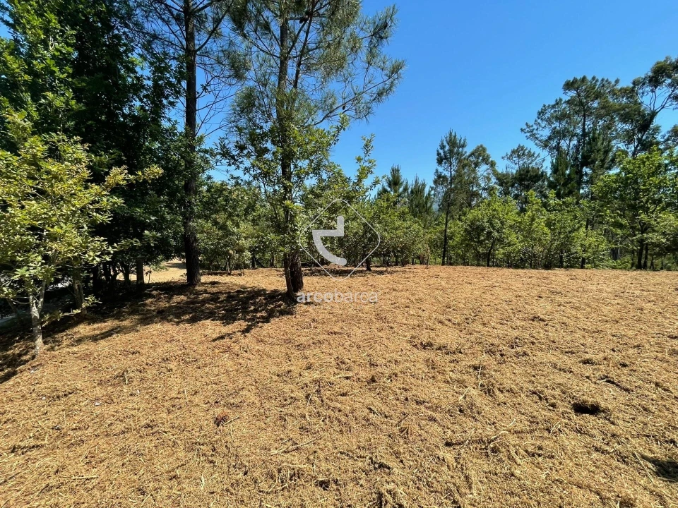 Terreno para Venda em Aguiã Foto 5