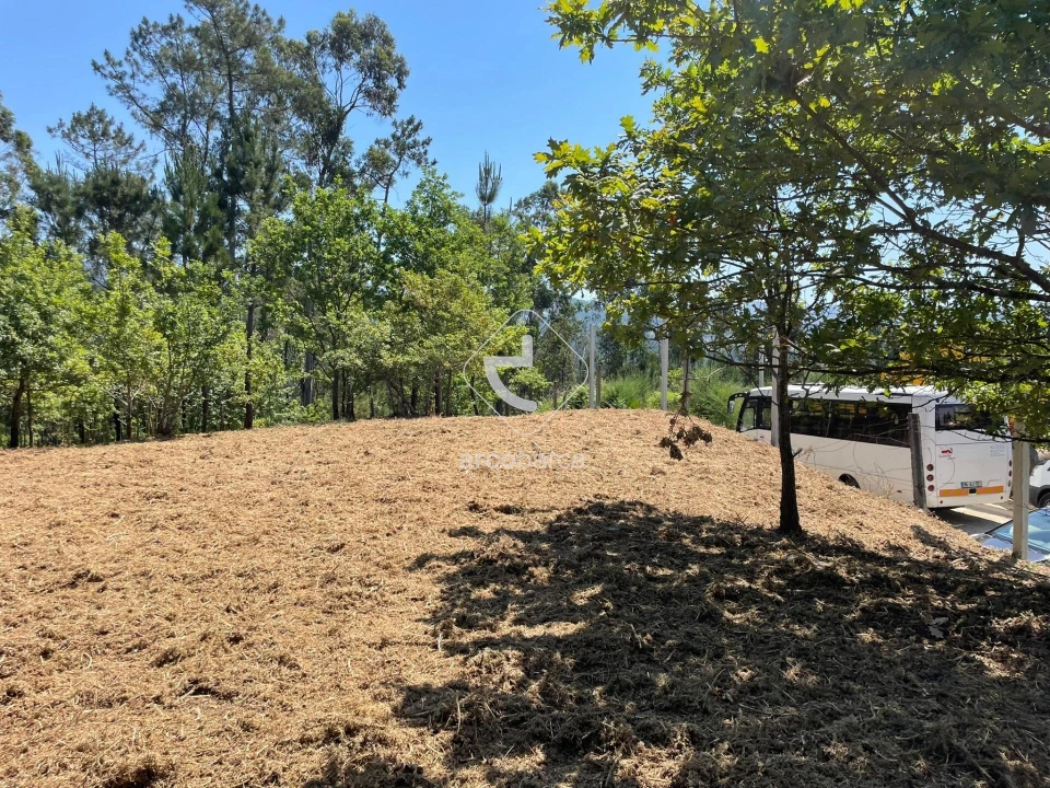 Terreno para Venda em Aguiã Foto 8