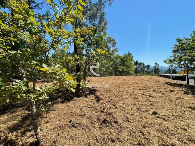 Terreno para Venda em Aguiã Foto 2