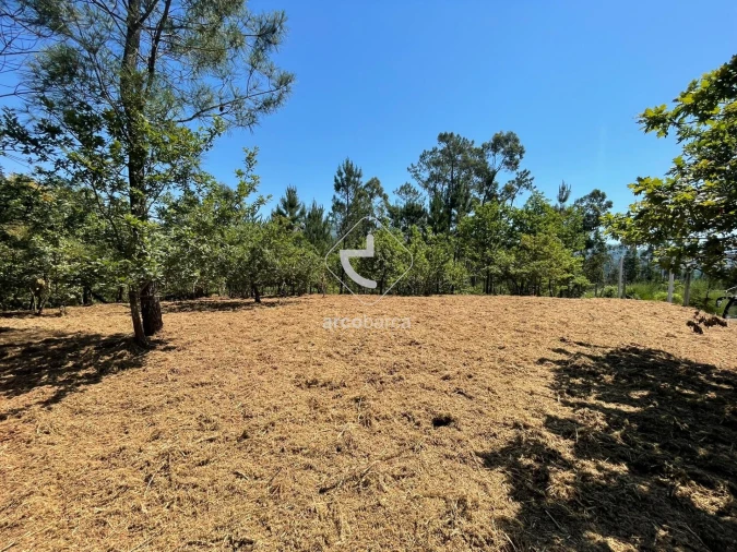 Terreno para Venda em Aguiã Foto 4