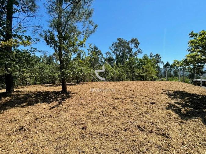 Terreno para Venda em Aguiã Foto 3