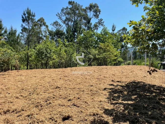 Terreno para Venda em Aguiã Foto 7