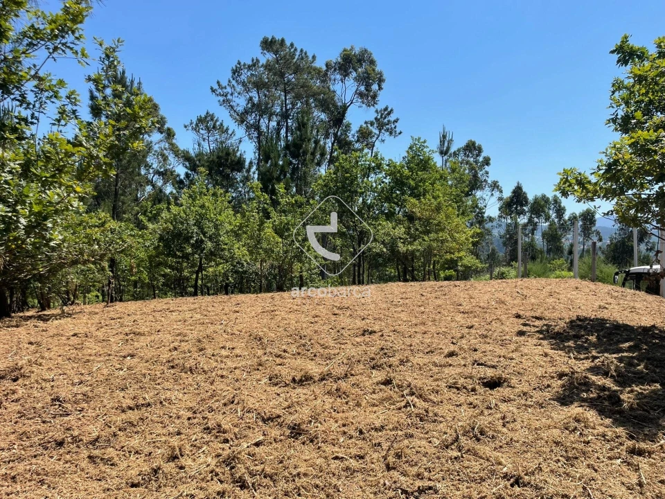 Terreno para Venda em Aguiã Foto 10