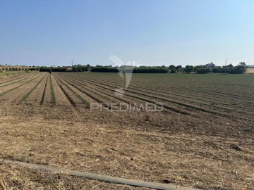 Terreno para Venda em Alenquer (Santo Estêvão e Triana)