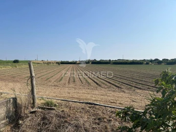 Terreno para Venda em Alenquer (Santo Estêvão e Triana)