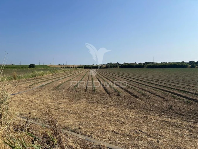 Terreno para Venda em Alenquer (Santo Estêvão e Triana) Foto 7