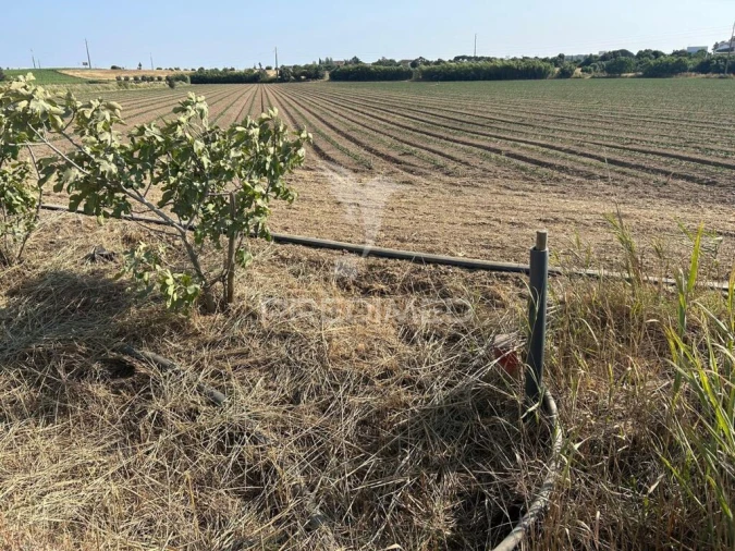 Terreno para Venda em Alenquer (Santo Estêvão e Triana) Foto 9