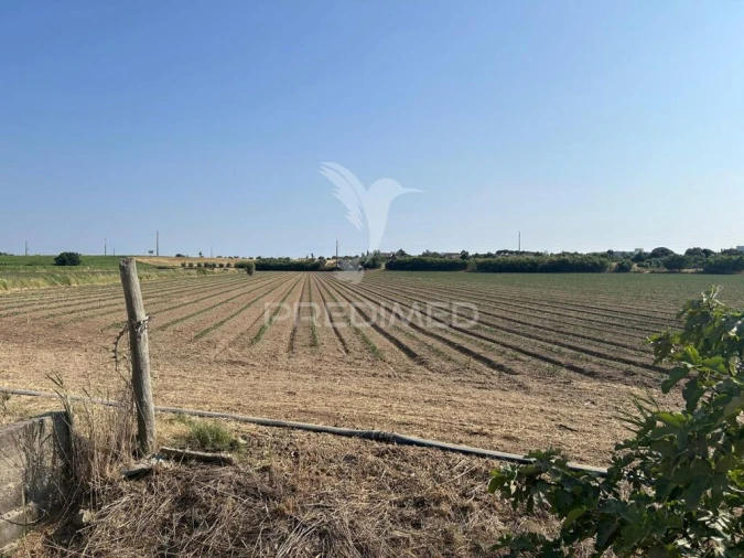 Terreno para Venda em Alenquer (Santo Estêvão e Triana) Foto 4