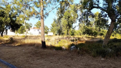 Terreno para Venda em Azeitão (São Lourenço e São Simão)