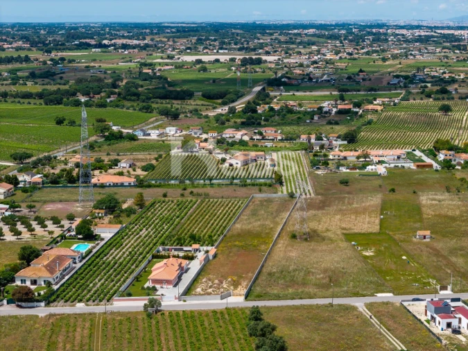 Terreno para Venda em Pinhal Novo Foto 5