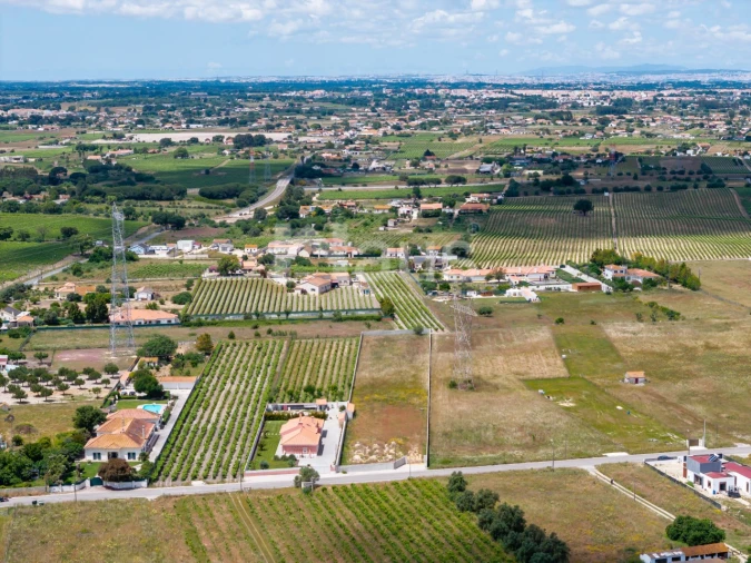 Terreno para Venda em Pinhal Novo Foto 6