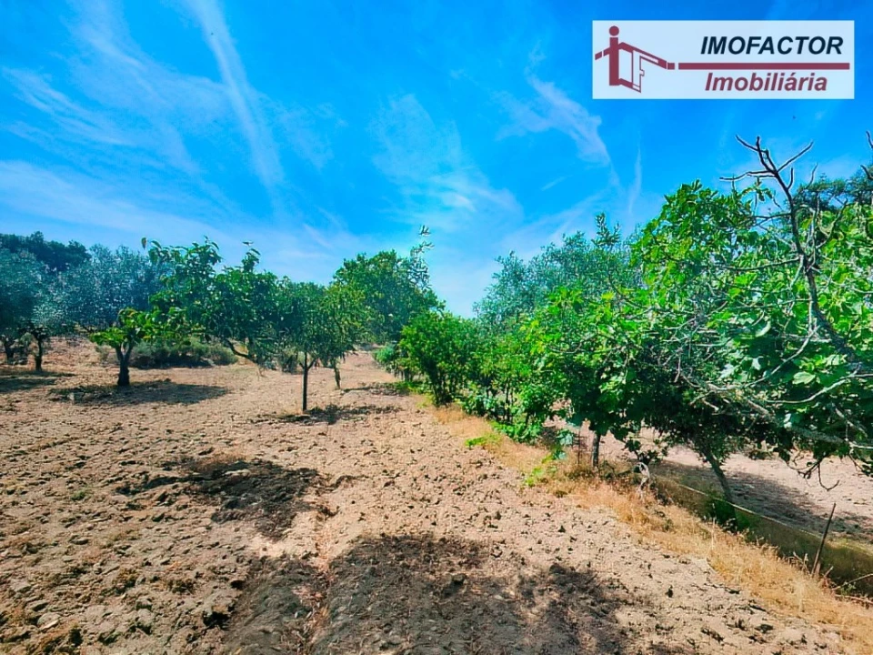 Quinta para Venda em São Miguel de Acha Foto 12